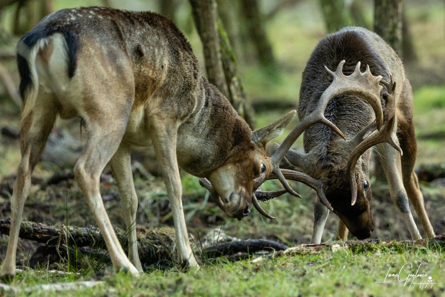 22 oktober 2023 124346  R2A8972